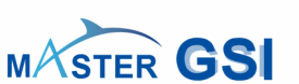 logo master systeme information